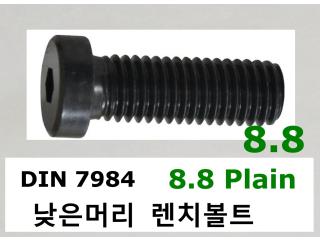 DIN 7984 8.8 Plain