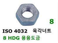 ISO 4032 8 용융도금