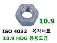 ISO 4032 10 용융도금