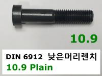 DIN 6912 10.9 PLAIN